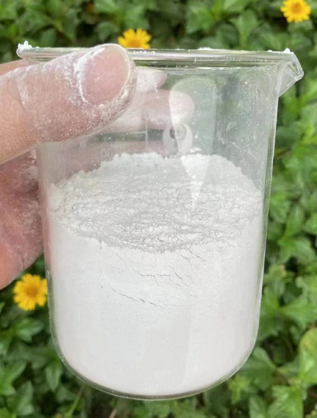 六氯代苯